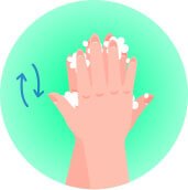 Lather The Back of Both Hands