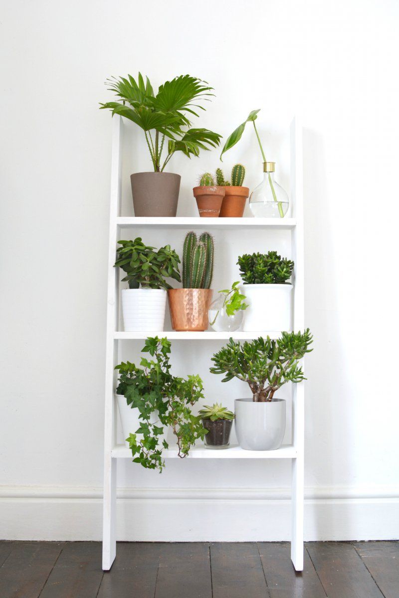 A roof has plants